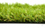Искусственная трава Blossom 30 мм #3