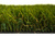 Искусственная трава Blossom 40 мм #3
