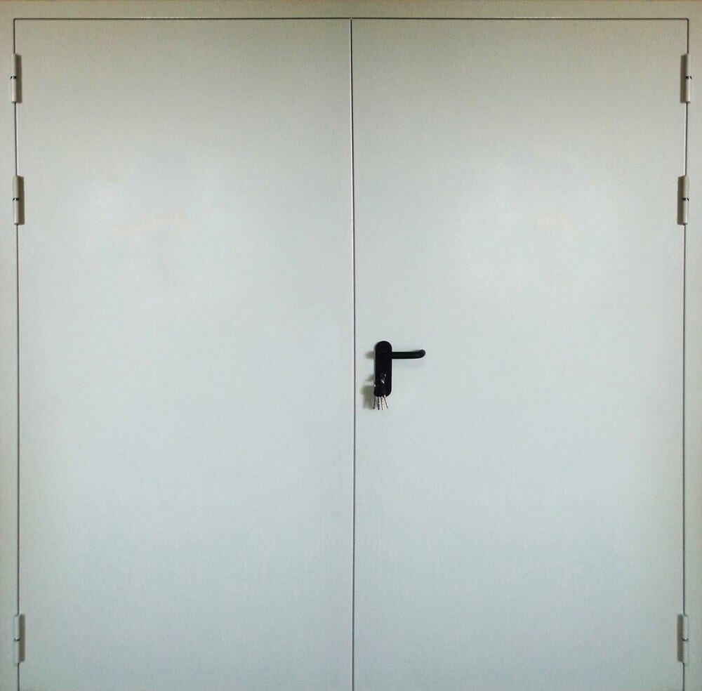 Дверь металлическая противопожарная двупольная 1300х2050 мм 60 Мин