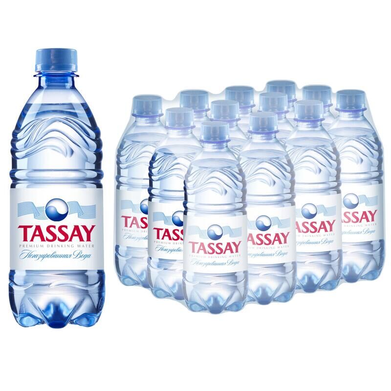 Вода питьевая TASSAY негазированная 0,5 л платиковая бутылка (12 штук в упаковке) Tassay