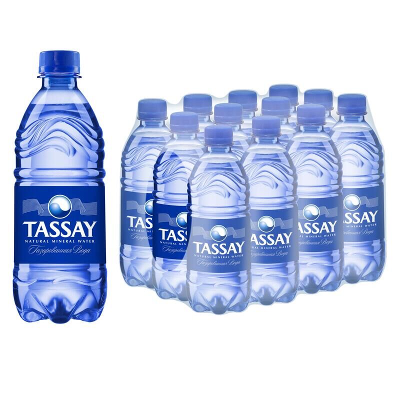 Вода питьевая TASSAY газированная 0,5 л пластиковая бутылка (12 штук в упаковке) Tassay