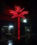 Пальма светодиодная