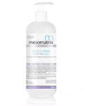 MESOMATRIX, Энзимный гель для чистки, холодного распаривания, для подготовки кожи COLD CLEANING, 250 мл Россия
