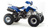 Квадроцикл MOTOLAND 250 DAKAR Motoland #8