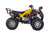 Квадроцикл RAPTOR MAX PRO 250 (жёлтый/чёрный) Raptor #2