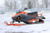 Снегоход Irbis Tungus 500L #1