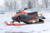 Снегоход Irbis Tungus 500L #2