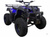 Квадроцикл ATV CLASSIC 200 #2