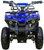 Электроквадроцикл ATV CLASSIC E 800W NEW #2