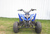 Квадроцикл PANTERA 125 Мотомир #2
