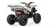 Квадроцикл Motoland 125 FOX #5