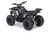 Квадроцикл MOTAX GRIZLIK Х16 (PS, BW) Motax #5
