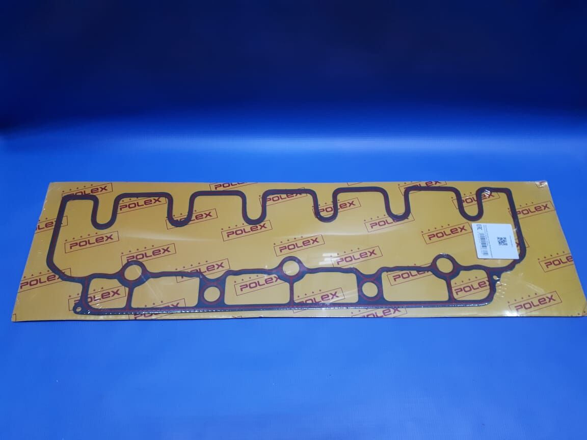 Прокладка крышки головки блока цилиндров ТАТА 613 Е3 (252501155348)