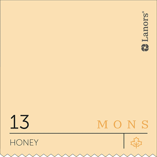 Краска для стен и потолка глубокоматовая моющаяся Lanors Mons Interior в цвете 13 Honey / Мед 4,5 л (на 63-72 кв.м в 1 с