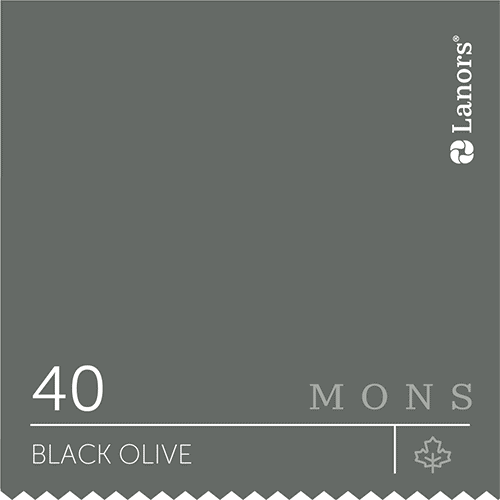 Краска для стен и потолка глубокоматовая моющаяся Lanors Mons Interior в цвете 40 Black Olive / Маслина 4,5 л (на 63-72