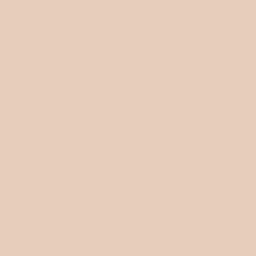 Краска для стен и потолка глубокоматовая бархатистая Hygge Aster в цвете HG02-042 Dried Yeast 0,9 л (на 6-12 кв.м в 1 сл