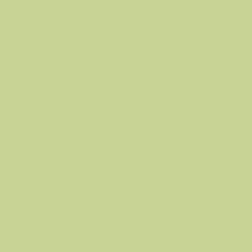 Краска для пола акриловая Little Greene Intelligent Floor Paint в цвете 90 Eau-De-Nil 2,5 л (на 30 кв.м в 1 слой, водоэм