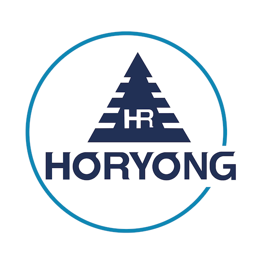 Ремонт двигателей спецтехники Horyong