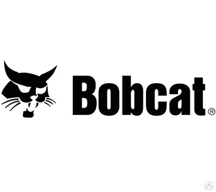 Ремонт двигателей Bobcat #1