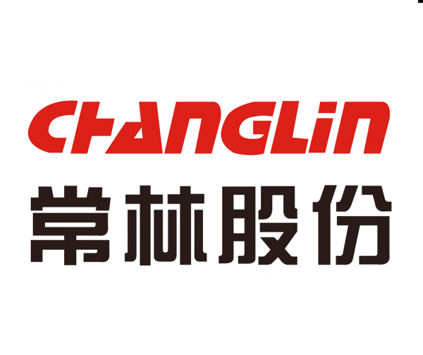 Ремонт двигателей Changlin