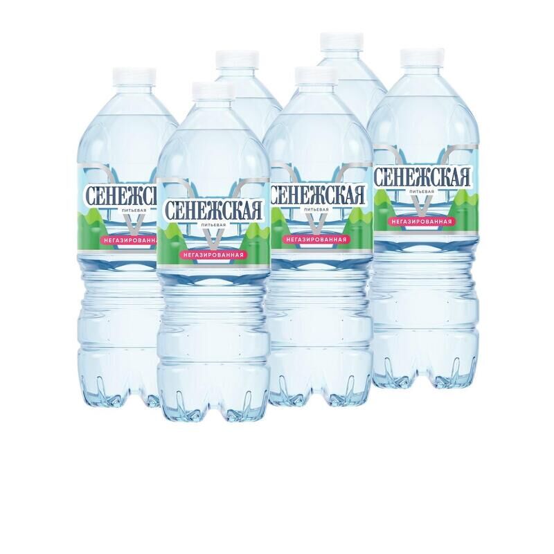 Вода питьевая Сенежская негазированная 1 л (6 штук в упаковке)