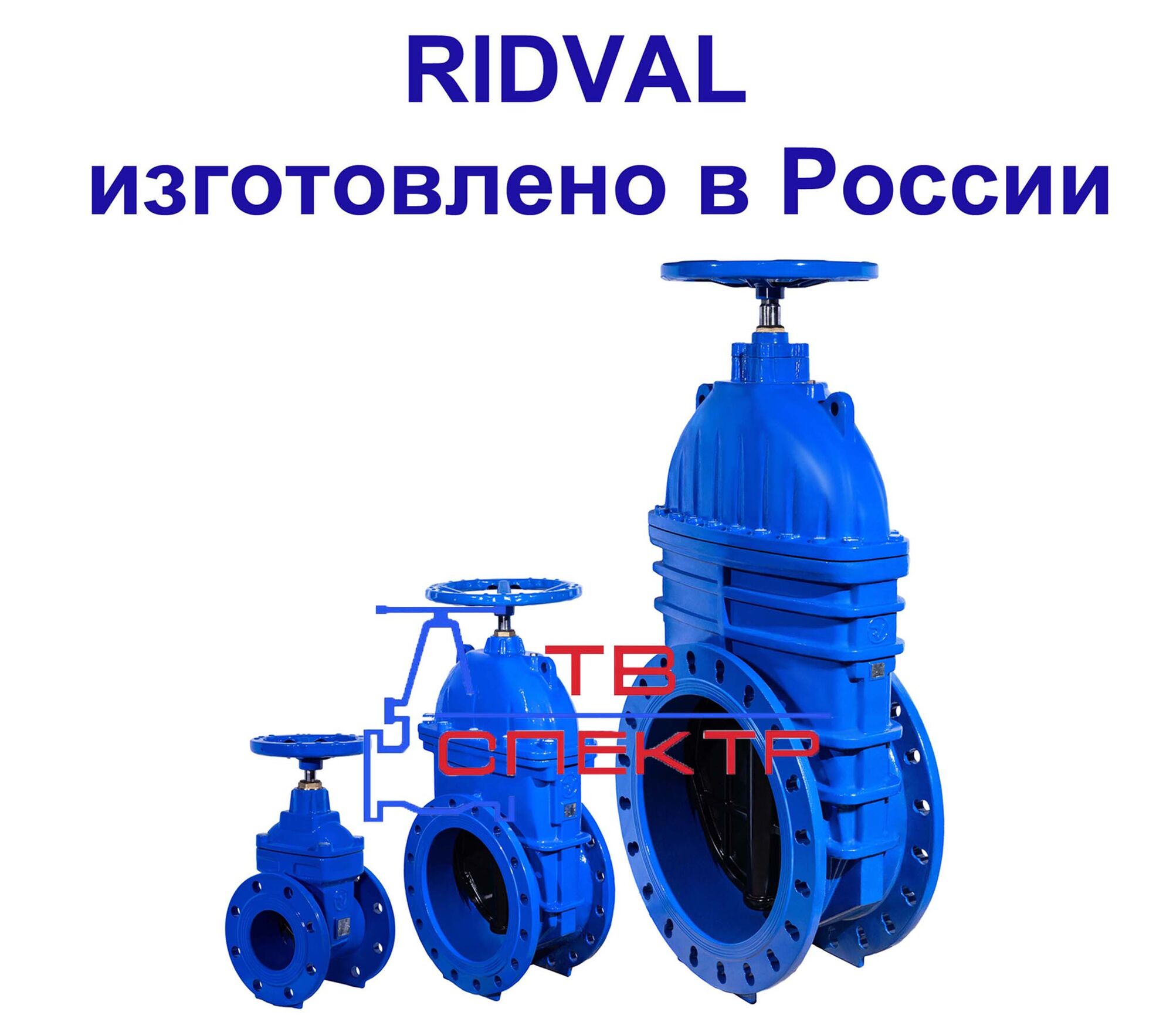 Задвижка Ridval RVG 10 30ч39р от Российского производителя Ду 50-Ду1000 Ру16